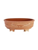 Oval Terracotta Bonsai Pot